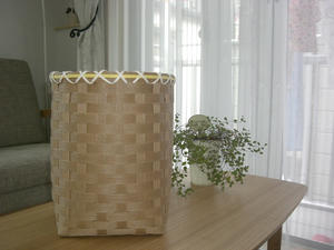 conv0049.JPG