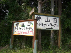 cf034ed1.JPG