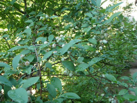 P7104247.jpg