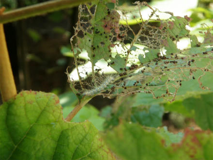 P7104254.jpg