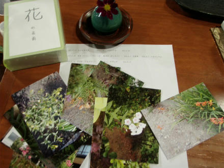 PA075590.jpg