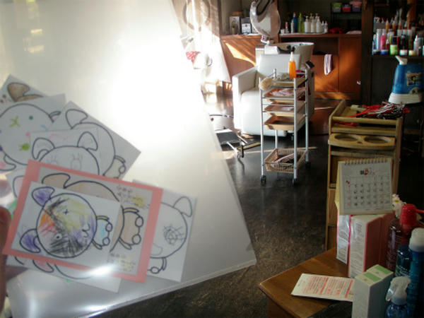 PC317375.jpg