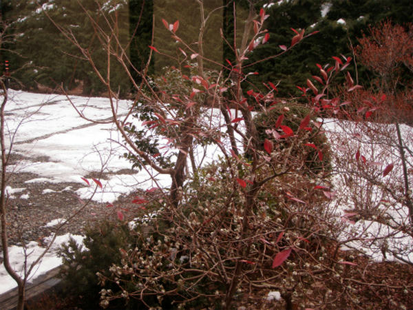 P1067446.jpg