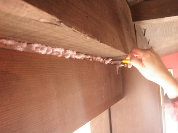 P1177530.jpg