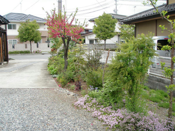 P5118503.jpg