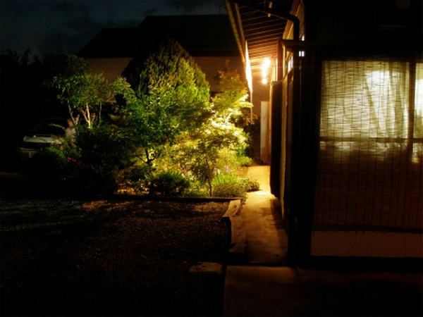 P5289053.jpg