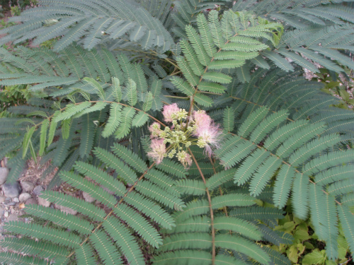 P9181515.jpg