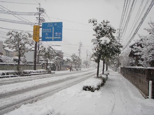 P1149650.jpg