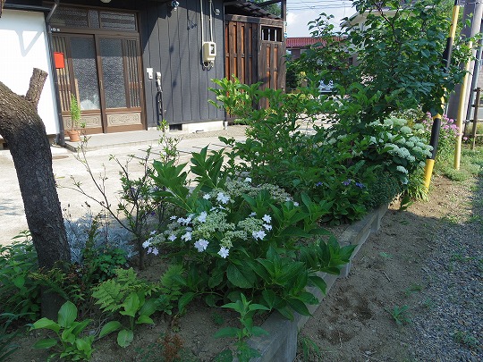 IMGP4182.jpg