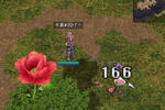 r12.jpg