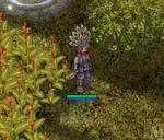 t19.jpg