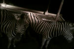 rps20110831_091233.jpg