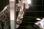 rps20110831_212801.jpg
