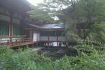 89d0b349.jpg