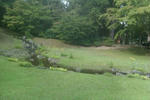 rps20110831_223943.jpg