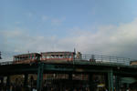 IMAG0019.jpg