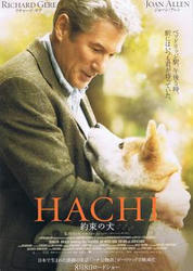 jm250351hachi-po.jpg