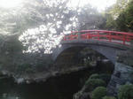 ３月２４日朝の桜