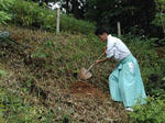 桜の記念植樹