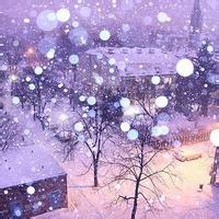  記得往年桂花開時總在不經意間就綻滿了眼簾