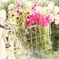 傷心總會過去過去的不必重新拿來傷心