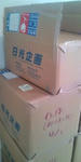 20090401104756.jpg