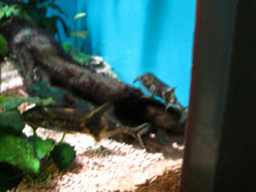 IMG_0717.JPG
