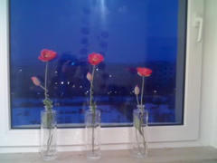 19-12-09_1637.jpg