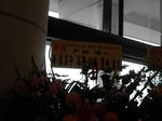 IMGP0225.JPG