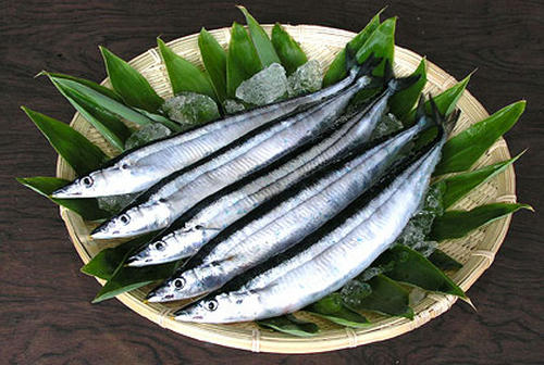tzakki02-2.jpg