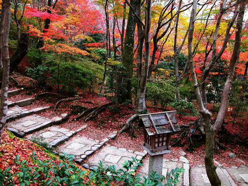 20081029_178_1.jpg