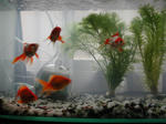 DSCN3572.JPG