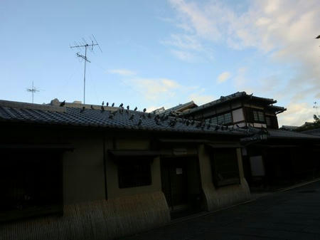 CIMG0191.JPG
