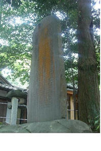 41934698.JPG