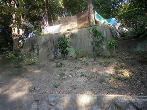 IMGP1946.JPG