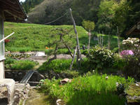 DSCF0140.JPG
