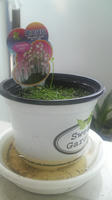 2008080509530000.jpg
