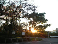 2008111116510000.jpg