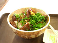 2009040217040000.jpg