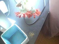 2009040908440000.jpg