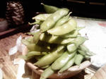 c3b79b04.jpg