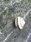 7c70d635.jpg