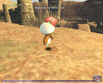 20080308144232.jpg