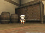 mog13.jpg