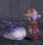 puni.jpg