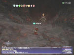 20070425113445.jpg