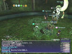 20070412231332.jpg