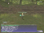 20061024202433.jpg