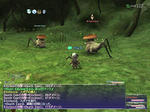 20060813131456.jpg