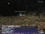 20060803120227.jpg
